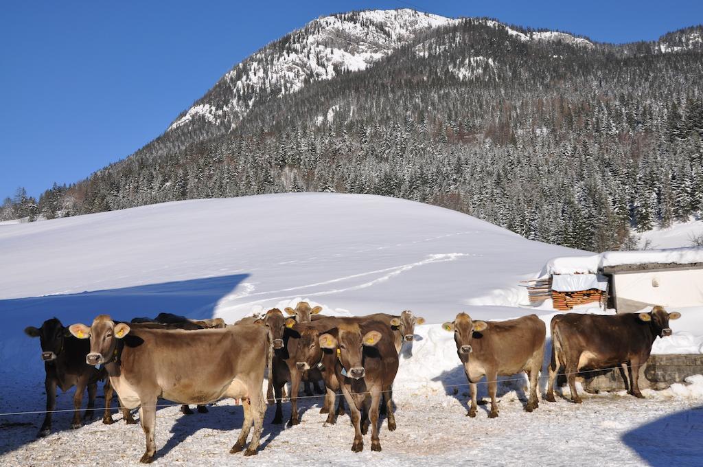 Bauernhof Haim-Schnepfleitner Pichl bei Aussee Exteriör bild