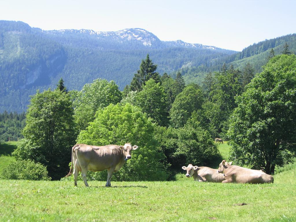 Bauernhof Haim-Schnepfleitner Pichl bei Aussee Exteriör bild