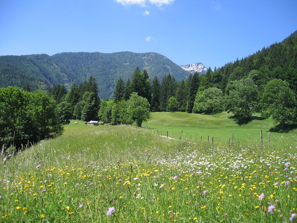 Bauernhof Haim-Schnepfleitner Pichl bei Aussee Exteriör bild