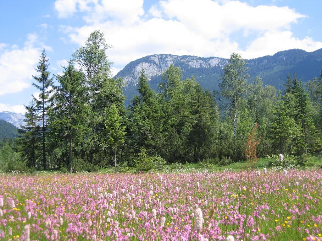 Bauernhof Haim-Schnepfleitner Pichl bei Aussee Exteriör bild