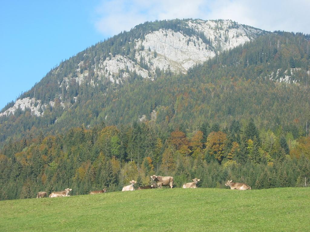 Bauernhof Haim-Schnepfleitner Pichl bei Aussee Exteriör bild